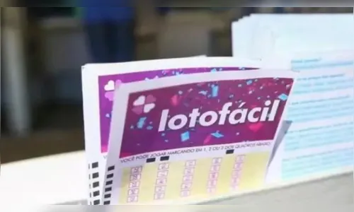 Confira o resultado da Lotofácil concurso 3325 desta quinta-feira (20)