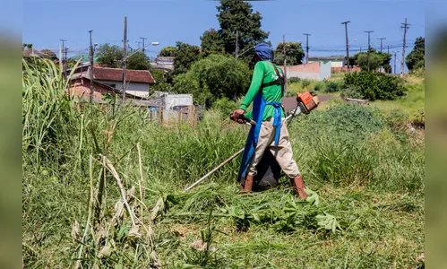 Apucarana fixa prazo de 15 dias para limpeza de terrenos