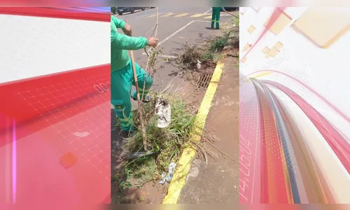 Prefeitura intensifica combate à dengue durante o Carnaval