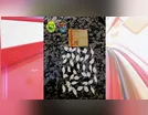 Adolescente confessa tráfico de drogas e é apreendido em Arapongas