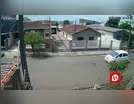 Vídeo chocante mostra carro atropelando cachorro em Arapongas; veja
