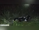Motociclista morre em acidente na PR-444 na noite de domingo
