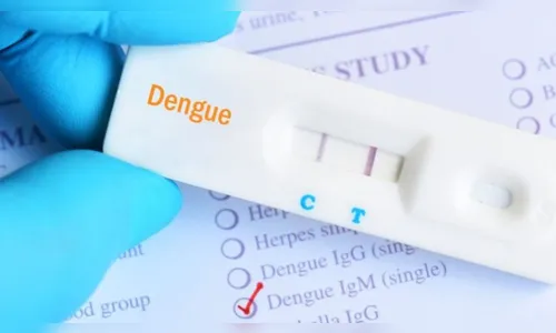 Veja o perfil do paciente que morreu por dengue em Arapongas