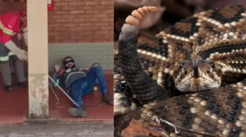 A cobra só foi retirada com a chegada de um profissional que utilizou um pinção para a remoção do animal