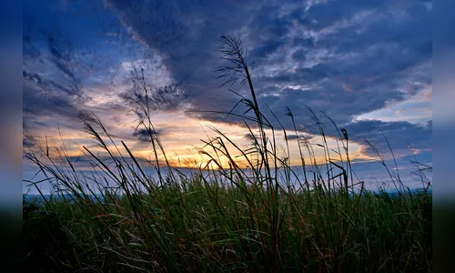 Pancadas de chuva e trovoadas marcam terça-feira (1º) no Paraná