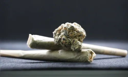 Lei multa em R$ 1,5 mil quem for flagrado usando drogas nas ruas em SC