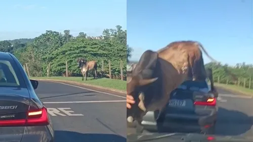 Apesar do susto e do prejuízo, ninguém ficou gravemente ferido