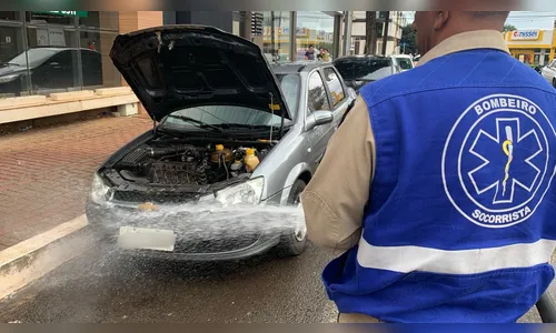 Enxame de marimbondos em veículo mobiliza bombeiros em Apucarana