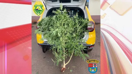 Apreensão ocorreu no Jardim Aeroporto