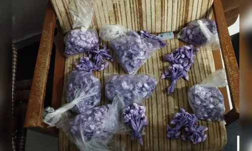 Suspeitos de entregarem drogas por delivery no Paraná são presos