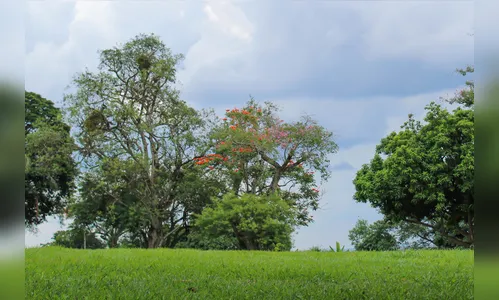 Quinta-feira será fria, mas de clima estável no norte do Paraná