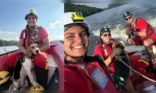 Cachorro é resgatado após cair de penhasco durante passeio no PR