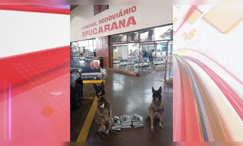 Três passageiros são presos com drogas na rodoviária de Apucarana