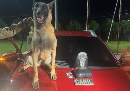 Cão da PM indicou onde estavam guardadas as drogas