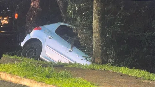 Carro caiu em barranco quando homem tentava fugir