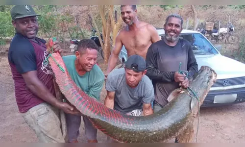 História de pescador? Amigos pescam peixe de 80 kg e mais de 2 metros