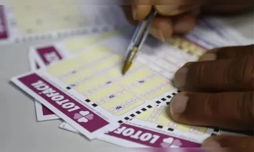 Cinco apostas acertam Lotofácil 3355 e ganham R$ 737 mil cada