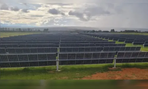 Uso das energias renováveis ganha destaque no 