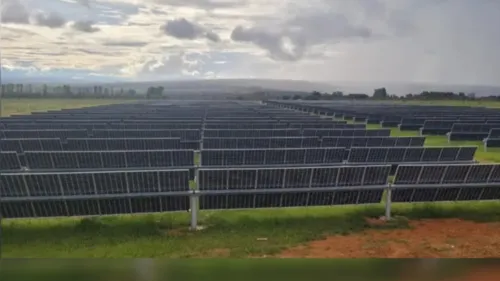 Data destaca a importância de uma transição energética sustentável para o futuro do planeta