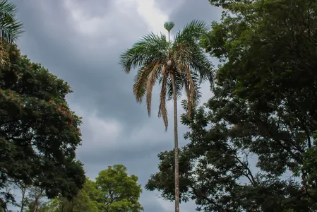 Em Apucarana a mínima será de 17°C nesta segunda
