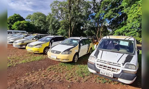 Leilão supera expectativas de arrecadação para cofres do Estado
