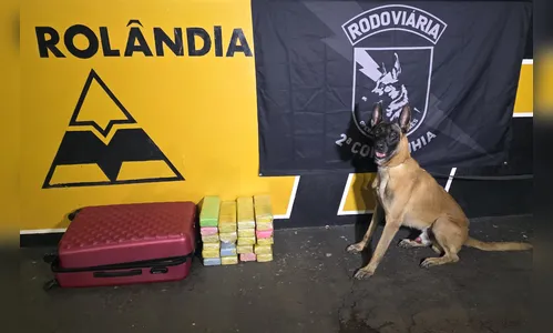 Passageira de ônibus interestadual é presa com 24 kg maconha na PR-986