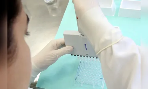 Covid matou mais de 1,8 mil pessoas na região em 5 anos