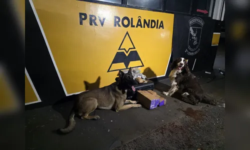Passageiro de ônibus é preso com 12 kg de drogas em Rolândia; vídeo