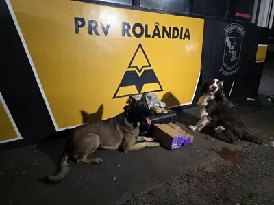 Na ocasião, o cão Airon indicou uma bolsa verde suspeita no setor de passageiros