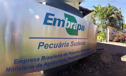 O Concurso Embrapa oferece vagas para todas as áreas de formação.