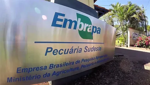 O Concurso Embrapa oferece vagas para todas as áreas de formação.