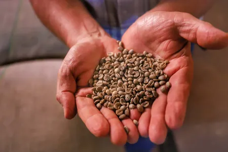 O Paraná tem vocação para se tornar um dos principais e mais completos fornecedores de alimentos do planeta