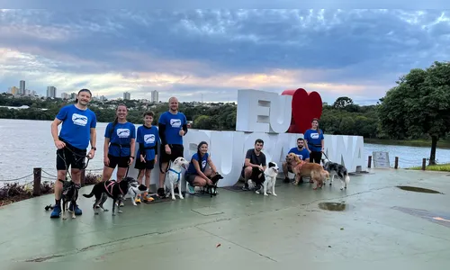Conheça o Canicross, corrida que une cães e humanos em Apucarana