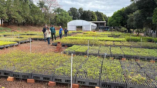 Os beneficiados são produtores rurais, escolas, prefeituras e entidades ambientais da região
