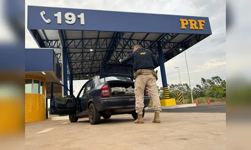 PRF lidera apreensões de drogas no Paraná em 2025