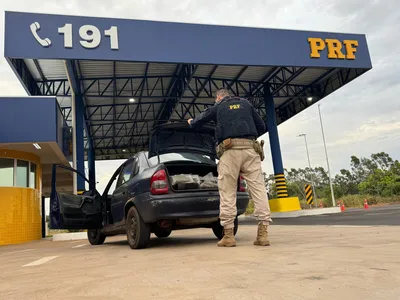 PRF lidera apreensões de drogas no Paraná em 2025