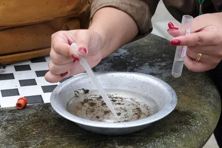 Paraná soma 30.635 casos da doença confirmados