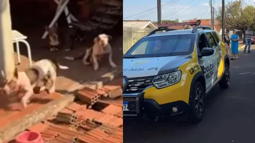 Polícia Militar foi acionada e registrou um boletim de ocorrências no local
