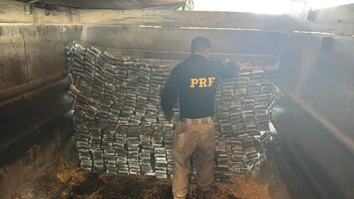 Porto é muito utilizado para tráfico de cocaína para a Europa