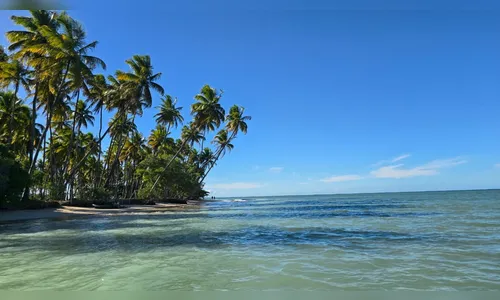 Descubra quais são os 17 destinos para conhecer na Bahia