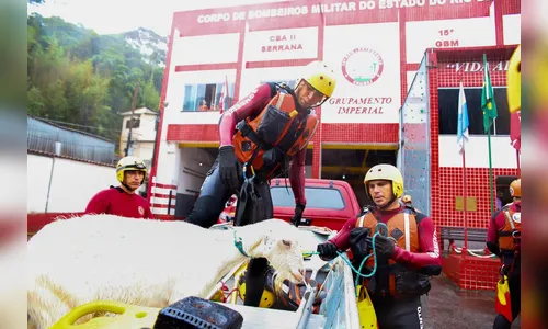 Após forte chuva, bombeiros resgatam cabra presa em porta-malas