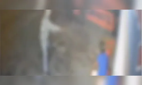 Tráfico ou mulher? Polícia investiga por que jovem tentou matar amigo