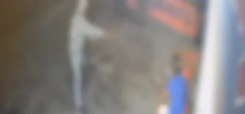 Suspeito foi preso na última sexta-feira (04), em Curitiba
