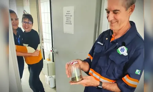 Cobra-espada assusta funcionários de Cras no Paraná