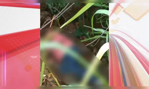 Corpo com sinais de morte violenta é encontrado em riacho no PR