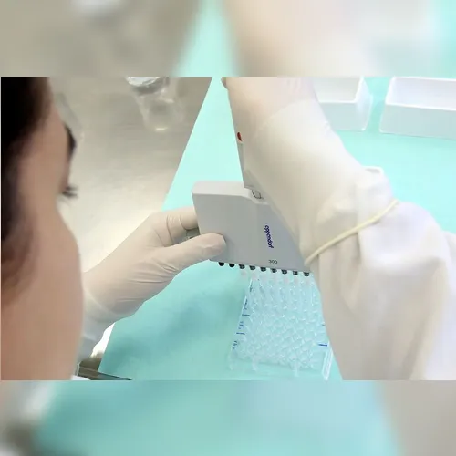 Covid matou mais de 1,8 mil pessoas na região em 5 anos