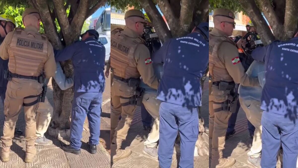 Homem bêbado prende cabeça em árvore e dá trabalho para os bombeiros; veja