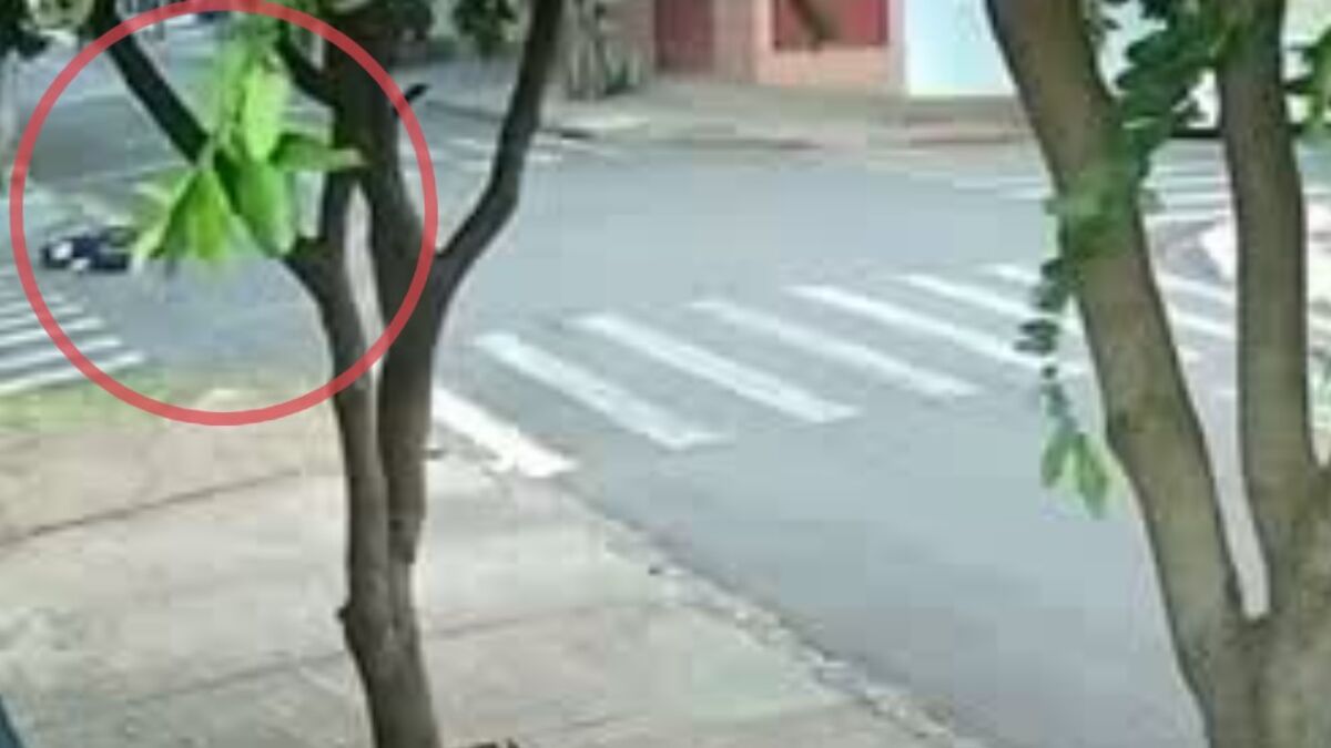 Vídeo mostra momento em que moto elétrica colide com ônibus em Maringá