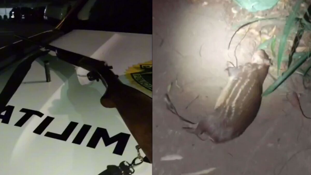 Caçador é preso por matar animal silvestre em extinção em Apucarana