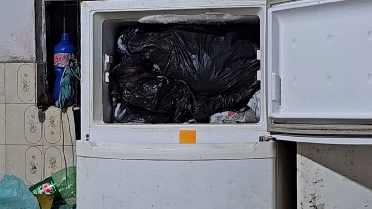 Médico é preso após ser flagrado com cães congelados no freezer de casa